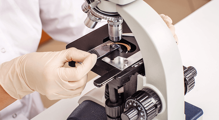 A microscope being used to test blood work from a pet in Ypsilanti, MI