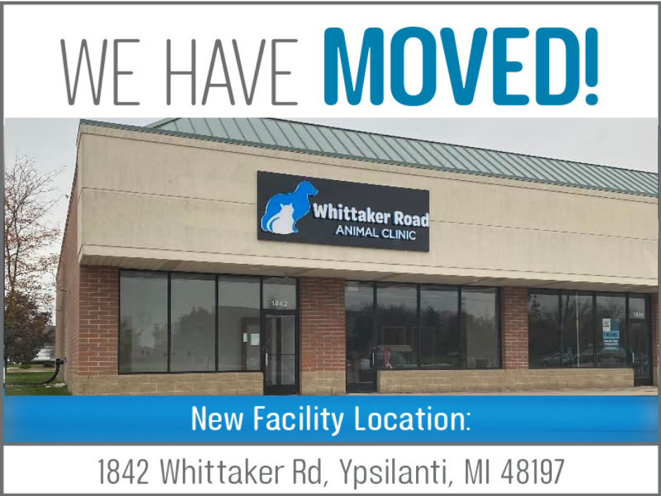 Whittaker Moves to New Building