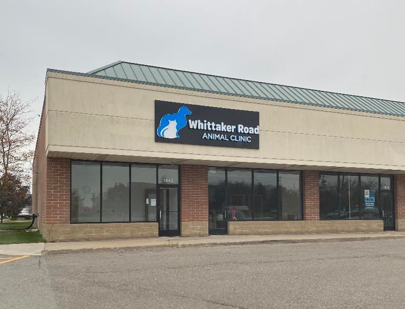 Whittaker Road Animal Clinic Hospital Tour