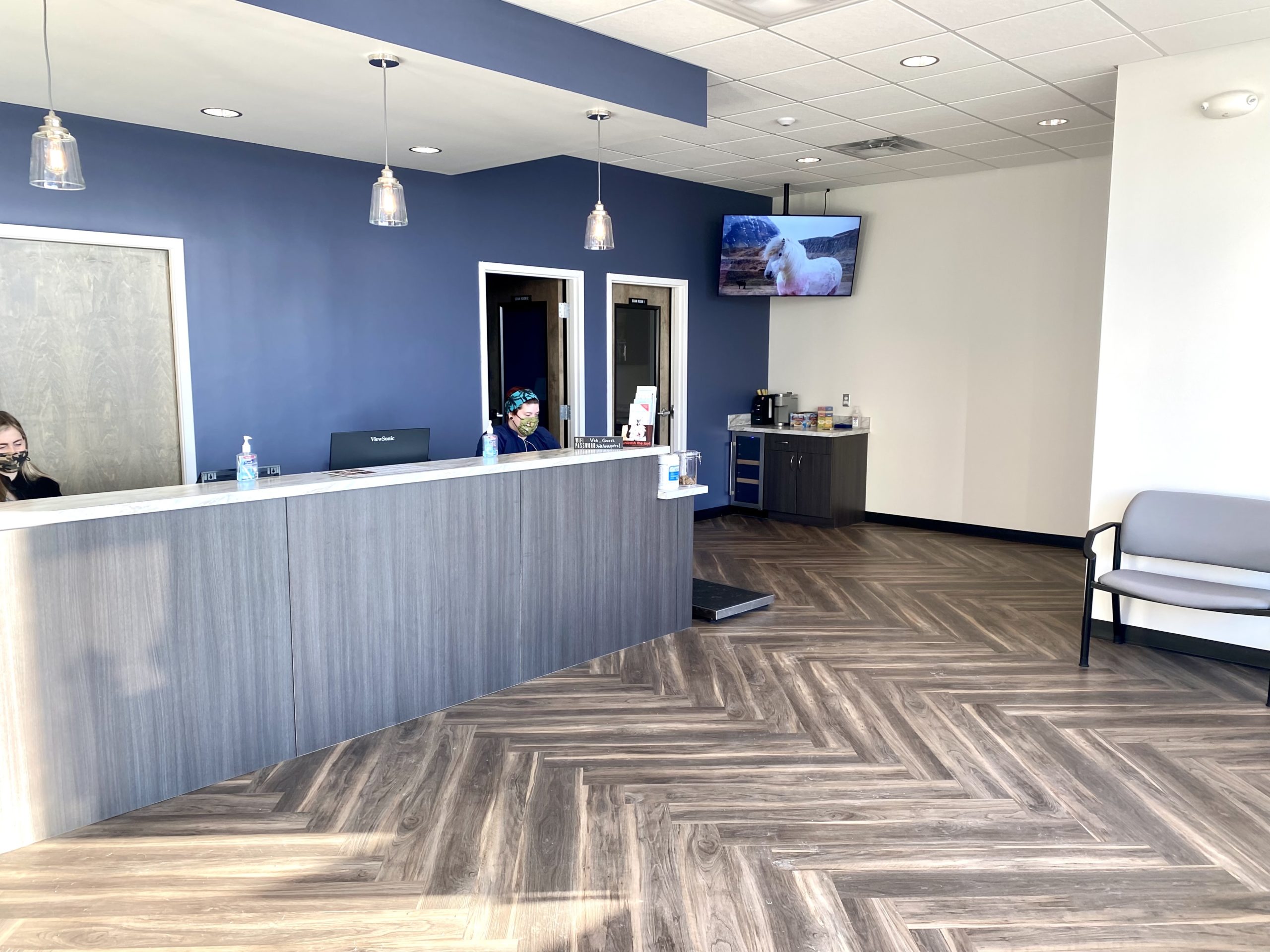 View &amp; Tour Our Hospital | Whittaker Road Animal Clinic